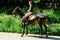 Akhal-Teke horse. Muzzle thoroughbred Akhal-Teke horse, photo outdoors. Ridden by a young rider. Saint-Petersburg. Russia. 06.18.