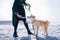 Akita Inu dog with green leash plays with rope toy with woman in dark green coat