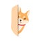 Akita Inu Dog Peeking from Behind Corner Vector Illustration