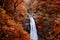 Akiu Waterfall, Akiu Otaki white water in red autumn lush forest - Sendai