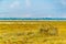 Akrotiri salt lake dried during summer, Cyprus