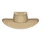 Akubra icon, cartoon style