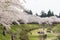 Akunodate,Akita,Tohoku,Japan on April 27,2018:Hanami picnics along the Hinokinai River in spring.selective focus