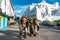 Akureyri, Iceland - Troll sculptures in the center of the town