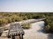 Al Jubail Mangrove forest in Abudhabi,UAE.