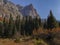 Ala-Archa Gorge in early autumn. Tien Shan firs and rosehip bushes.