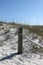 Alabama Dunes Gulf Shores 2020 I