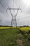 Alabama Farm Field Canola Crop