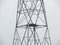 Alabama Osprey Nest On High Voltage Power Tower