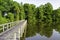 Alabama Swamp with a wooden foot bridge