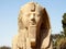 The Alabaster Sphinx, Memphis, Egypt