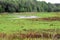 The Alachua Sink on the La Chula Trail in Paynes Prairie Florida