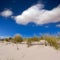 Alaior Cala Son Bou in Menorca dunes at Balearic