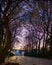 Alameda del Tajo park in Ronda, Spain, at sunset