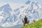 ALAMEDIN, KYRGYZSTAN - MAY 21, 2017: Herdsman on a horse with his dog at a pasture in Alamedin valle