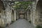 Alamo Walkway in the Evening Glow