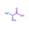 Alanine Ala amino acid