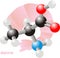 Alanine molecule 2