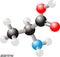 Alanine molecule