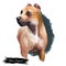 Alano Espanol breed digital art illustration isolated on white. Cute domestic purebred animal. Spanish Bulldog in