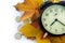 Alarm clock, autumn leafs and coins.