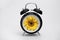 Alarm Clock with Sunflower