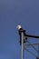 Alaska Bald Eagle resting on a Mobile Tower