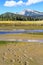 Alaska Brown Bear Tracks Lake Clark National Park