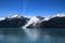 Alaska, Bryn Mawr Glacier in College Fjord