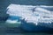 Alaska, iceberg in Icy Bay of the Wrangell-Saint-Elias Wilderness