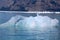 Alaska, iceberg in Icy Bay of the Wrangell-Saint-Elias Wilderness