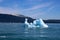 Alaska, iceberg in Icy Bay of the Wrangell-Saint-Elias Wilderness