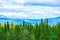 Alaska mountain range and forest, Pacific north west, Denali National Park, Mountain landscape