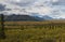 Alaska Mountain Ranger overlooking the Denali