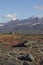 Alaska mountains near Valdez