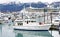 Alaska Seward Small Boat Harbor Cruise Ship