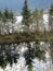 Alaska, snowy park with pine trees, mirrored image