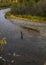 Alaska Steelhead fisherman