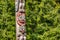 Alaska totem pole in Ketchikan, Alaska. Cruise travel destination vacation. Wood carving.