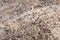 Alaska white - natural polished granite stone slab, texture for perfect interior, background or other design project.