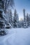 Alaskan cabin with trail in winter