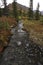 An Alaskan Creek in the fall.