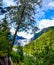 Alaskan Glacier Beyond the Forest