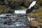 Alaskan Husky standing near the waterfall, Iceland