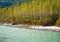 Alaskan Landscape with a Pattern of Trees Along the Creek