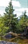 Alaskan landscape with trees reflection in water