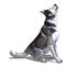 Alaskan Malamute Dog. 3D rendering with clipping