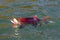 Alaskan Sockeye Salmon hooked on a lure in the Naknek River