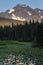 Alaskan summer landscape - snow capped mountains, forests, lily pond