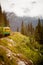 Alaskan train excursion